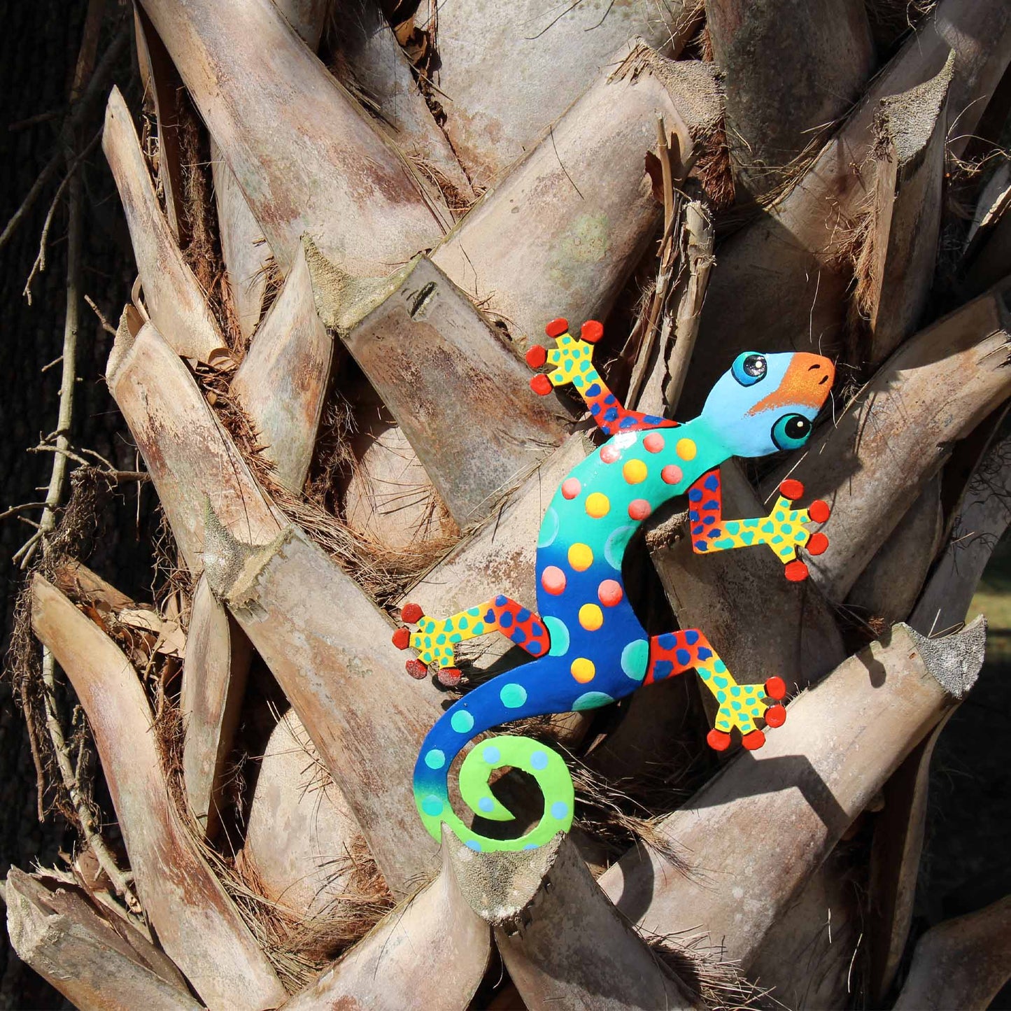 Art mural coloré Gecko haïtien en acier, 33 cm, motif Floride