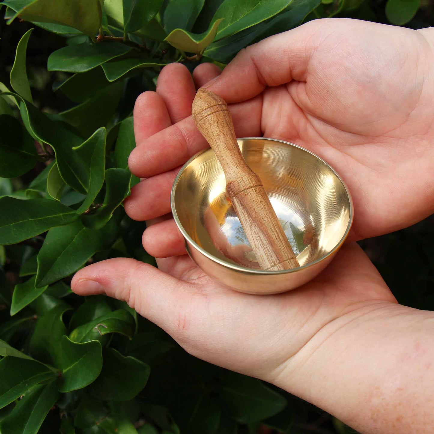 Coffret Bol de Méditation : Lotus Rouge 3'' - DZI (Méditation)