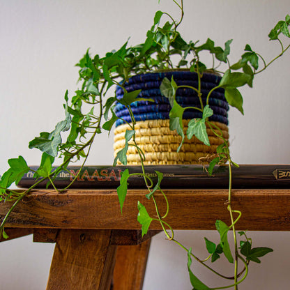 Dried Grass Basket, Black and Natural